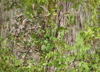 SSM görünmezliğin peşinde