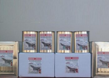 Hacettepe teknokent uçağı radardan saklayan boyayı Kazakistan’da tanıttı