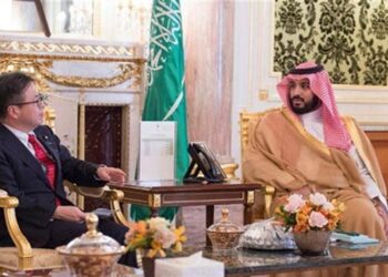 Savunmada Güç Birliği