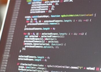 ABD Güvenlik Açıklarını Arıyor