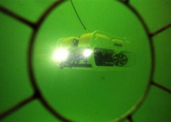 Rusya Uyduyu Denize İndirdi