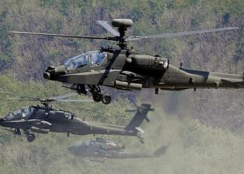 Birleşik Arap Emirlikleri’ne Yeni ‘Muhafız’