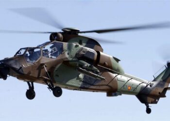 Tiger Filosuna Thales Desteği