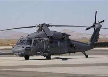 Jandarma’ya iki Kara Şahin