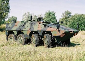 Ada Yeniden Boxer Programında