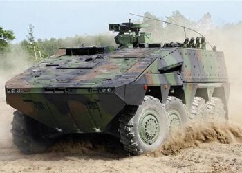 Hollandalı Son Boksör Üretildi