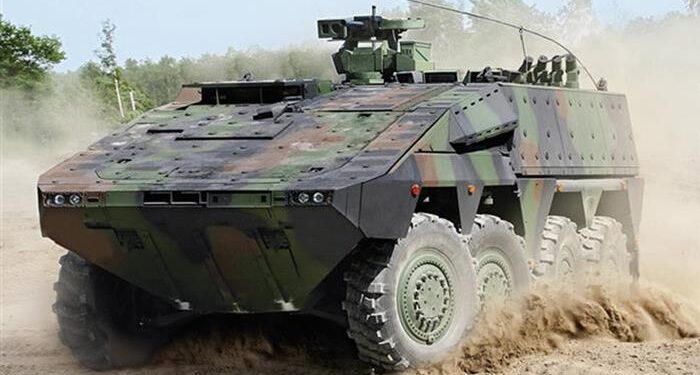 Hollandalı Son Boksör Üretildi