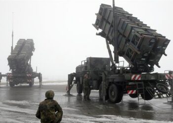 Vikinglere Vatansever Koruma