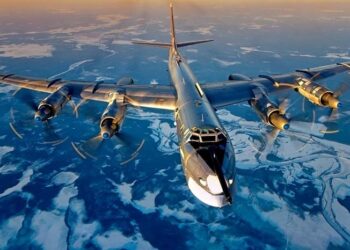 “Ayı”lara Modernizasyon