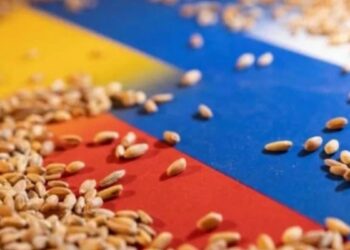  “Tahıl Anlaşmasının” Fesih Etkisi AB, Çin Ve Türkiye Üzerinde Olacak 