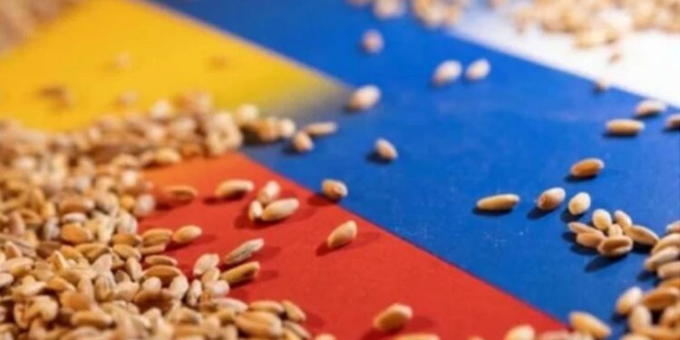 “Tahıl Anlaşmasının” Fesih Etkisi AB, Çin Ve Türkiye Üzerinde Olacak