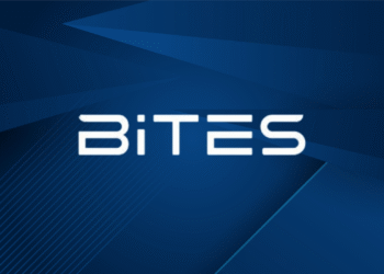 BiTES Savunma Genel Müdürlüğüne Erinç Albayrak Vekaleten Atandı