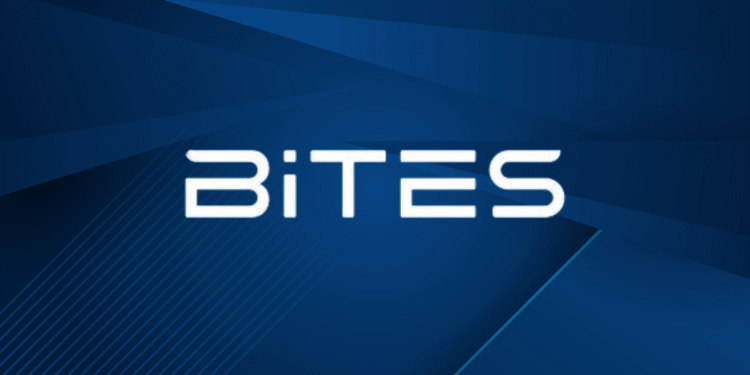 BiTES Savunma Genel Müdürlüğüne Erinç Albayrak Vekaleten Atandı