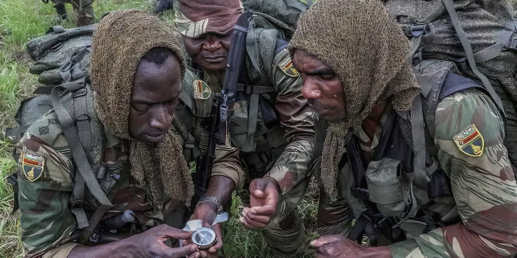 AB, Zimbabve’ye Uyguladığı Silah Ambargosunu Uzattı