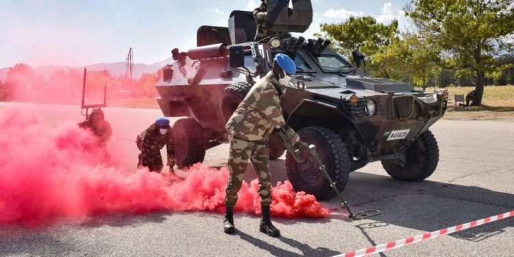 Türkiye’den Gambiya Askerlerine Eğitim
