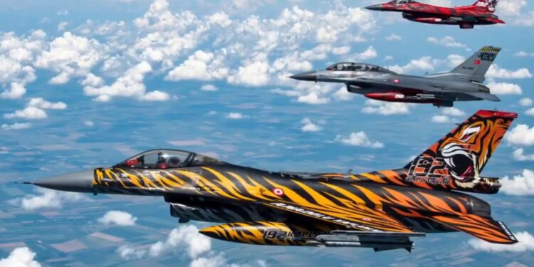 Tiger Meet-2024 Tatbikatı,