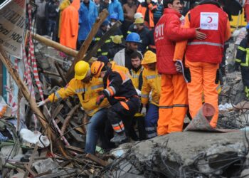 Sürdürülebilir Yaşam için Afetlerde Sağlık Hizmetlerinin Yönetimi