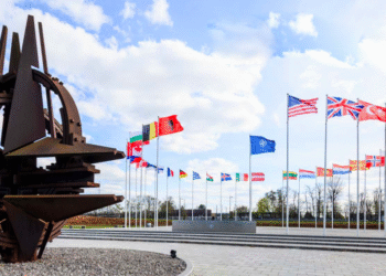 NATO 2024 Raporunun Şifreleri                       