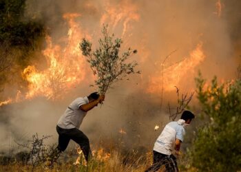 Yangınlar, Caydırıcılık ve Başlangıçta Söndürebilmek          