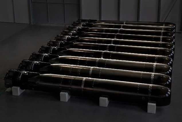 Hollanda Orka sınıfı denizaltılarda kullanılacak Naval Group üretimi F21 MK2 ağır sınıf torpidolar.
