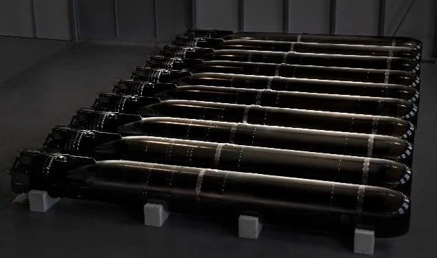 F21 MK2 heavyweight torpedoes to be integrated into the Royal Netherlands Navy's new Orka-class submarines.