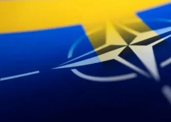 The Maritime Component of the Ukraine Volunteer Coalition Entrusted to Türkiye